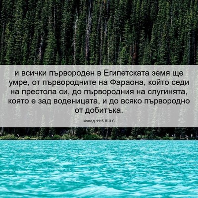 Picture 06 - Изход 11:5 BULG - и всички първороден в - Bible Verse Picture