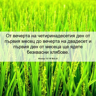 Picture 06 - Изход 12:18 BULG - От вечерта на - Bible Verse Picture