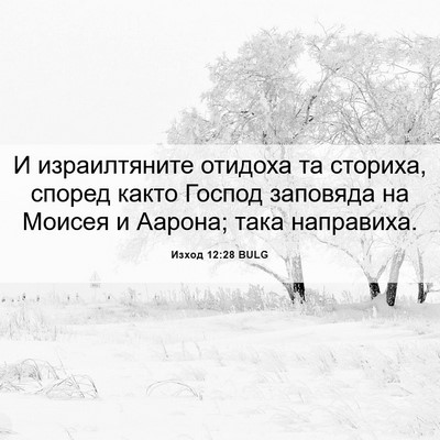 Picture 06 - Изход 12:28 BULG - И израилтяните отидоха та - Bible Verse Picture