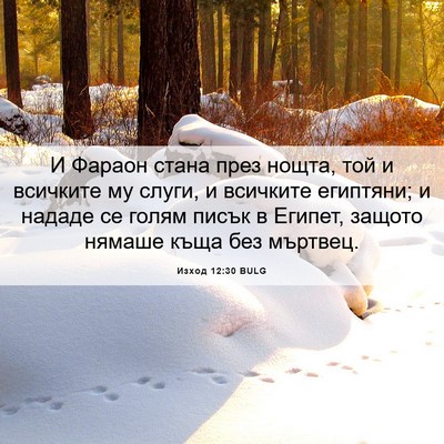 Picture 06 - Изход 12:30 BULG - И Фараон стана през нощта, - Bible Verse Picture