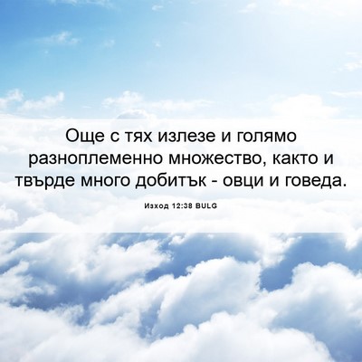 Picture 06 - Изход 12:38 BULG - Още с тях излезе и голямо - Bible Verse Picture