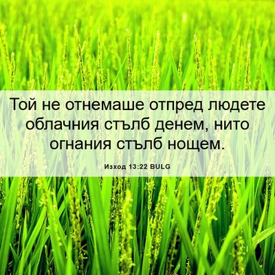 Picture 06 - Изход 13:22 BULG - Той не отнемаше отпред - Bible Verse Picture