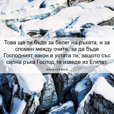 Picture 06 - Изход 13:9 BULG - Това ще ти бъде за белег на - Bible Verse Picture