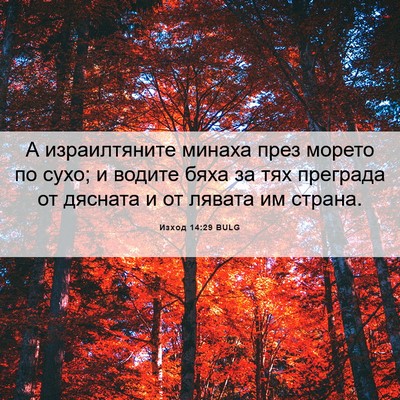 Picture 06 - Изход 14:29 BULG - А израилтяните минаха през - Bible Verse Picture