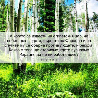 Picture 06 - Изход 14:5 BULG - А когато се извести на - Bible Verse Picture
