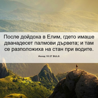 Picture 06 - Изход 15:27 BULG - После дойдоха в Елим, гдето - Bible Verse Picture