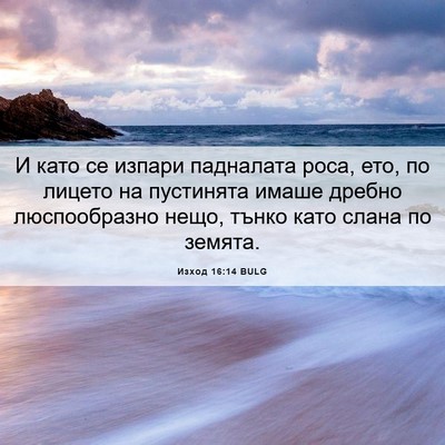 Picture 06 - Изход 16:14 BULG - И като се изпари падналата - Bible Verse Picture