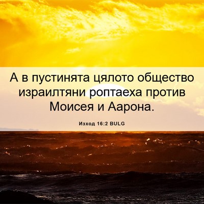 Picture 06 - Изход 16:2 BULG - А в пустинята цялото - Bible Verse Picture