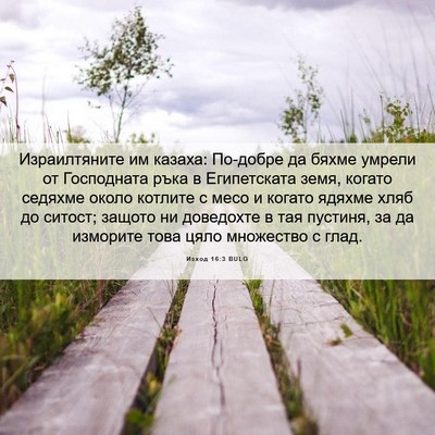 Picture 06 - Изход 16:3 BULG - Израилтяните им казаха: - Bible Verse Picture