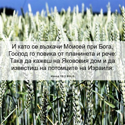 Picture 06 - Изход 19:3 BULG - И като се възкачи Моисей - Bible Verse Picture