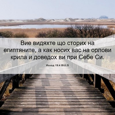 Picture 06 - Изход 19:4 BULG - Вие видяхте що сторих на - Bible Verse Picture