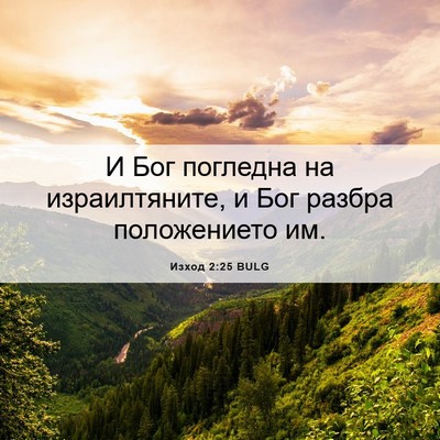 Picture 06 - Изход 2:25 BULG - И Бог погледна на - Bible Verse Picture