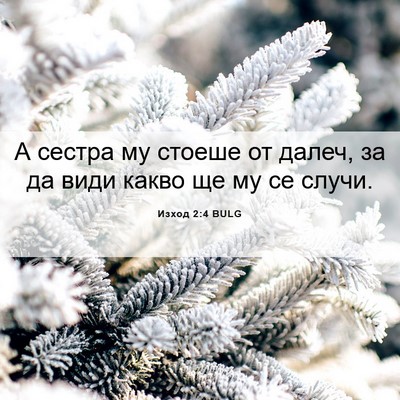 Picture 06 - Изход 2:4 BULG - А сестра му стоеше от - Bible Verse Picture