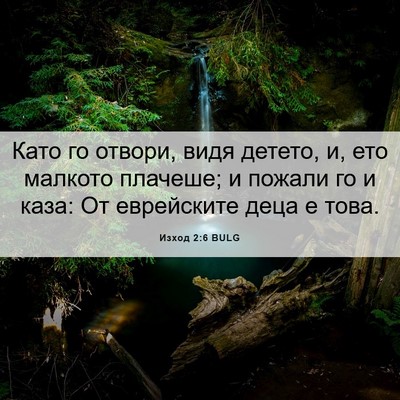 Picture 06 - Изход 2:6 BULG - Като го отвори, видя - Bible Verse Picture