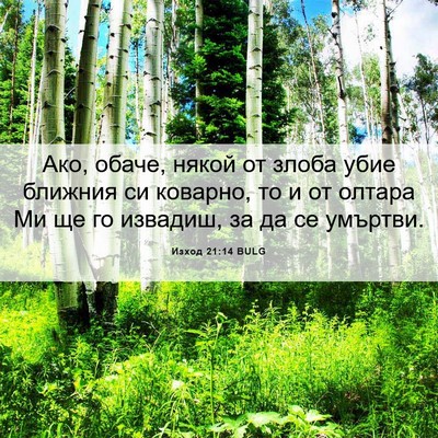 Picture 06 - Изход 21:14 BULG - Ако, обаче, някой от злоба - Bible Verse Picture
