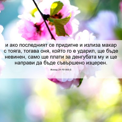 Picture 06 - Изход 21:19 BULG - и ако последният се - Bible Verse Picture