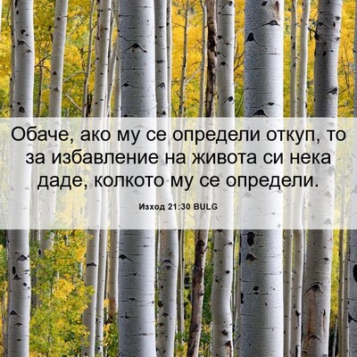 Picture 06 - Изход 21:30 BULG - Обаче, ако му се определи - Bible Verse Picture