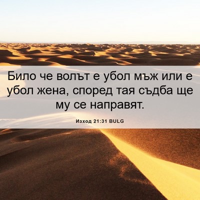 Picture 06 - Изход 21:31 BULG - Било че волът е убол мъж - Bible Verse Picture