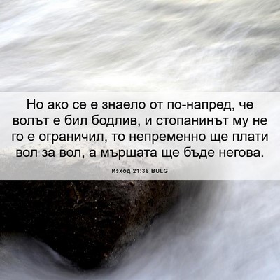 Picture 06 - Изход 21:36 BULG - Но ако се е знаело от - Bible Verse Picture