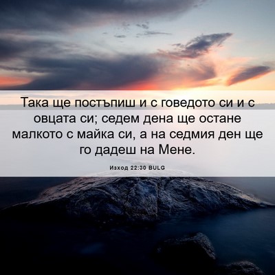 Picture 06 - Изход 22:30 BULG - Така ще постъпиш и с - Bible Verse Picture