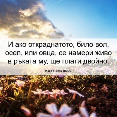 Picture 06 - Изход 22:4 BULG - И ако откраднатото, било - Bible Verse Picture