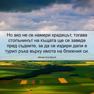 Picture 06 - Изход 22:8 BULG - Но ако не се намери - Bible Verse Picture