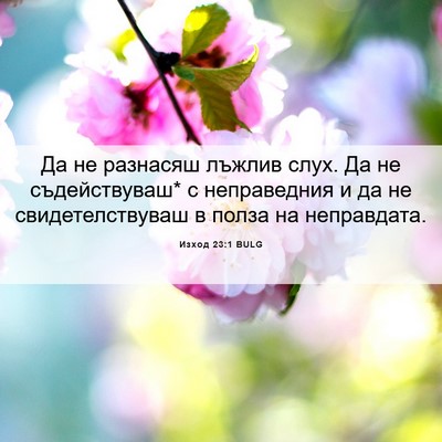 Picture 06 - Изход 23:1 BULG - Да не разнасяш лъжлив слух. - Bible Verse Picture