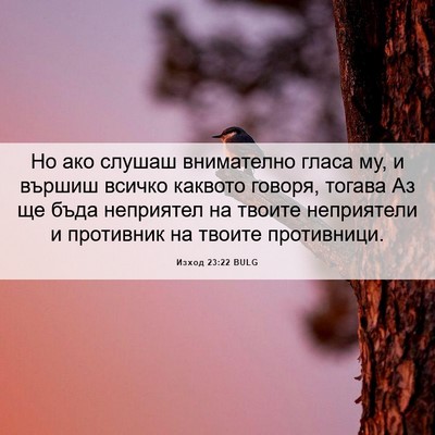 Picture 06 - Изход 23:22 BULG - Но ако слушаш внимателно - Bible Verse Picture