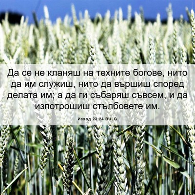Picture 06 - Изход 23:24 BULG - Да се не кланяш на техните - Bible Verse Picture