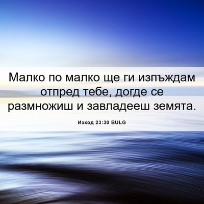 Picture 06 - Изход 23:30 BULG - Малко по малко ще ги - Bible Verse Picture