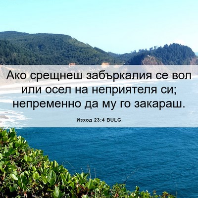 Picture 06 - Изход 23:4 BULG - Ако срещнеш забъркалия се - Bible Verse Picture