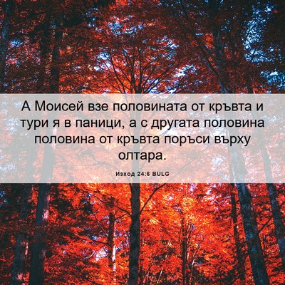 Picture 06 - Изход 24:6 BULG - А Моисей взе половината от - Bible Verse Picture