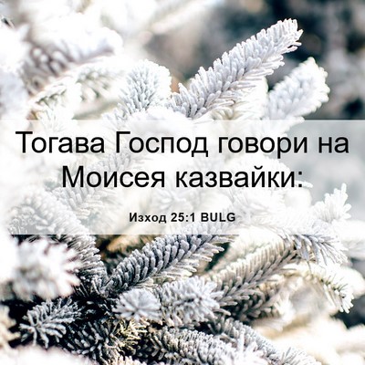 Picture 06 - Изход 25:1 BULG - Тогава Господ говори на - Bible Verse Picture