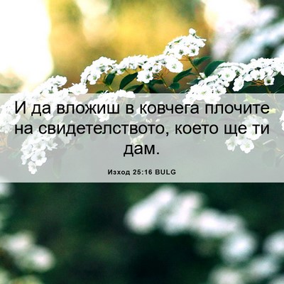 Picture 06 - Изход 25:16 BULG - И да вложиш в ковчега - Bible Verse Picture