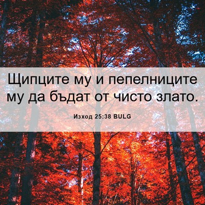 Picture 06 - Изход 25:38 BULG - Щипците му и пепелниците - Bible Verse Picture