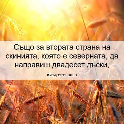 Picture 06 - Изход 26:20 BULG - Също за втората страна на - Bible Verse Picture