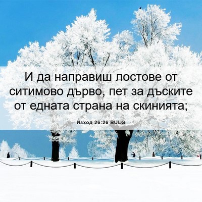 Picture 06 - Изход 26:26 BULG - И да направиш лостове от - Bible Verse Picture