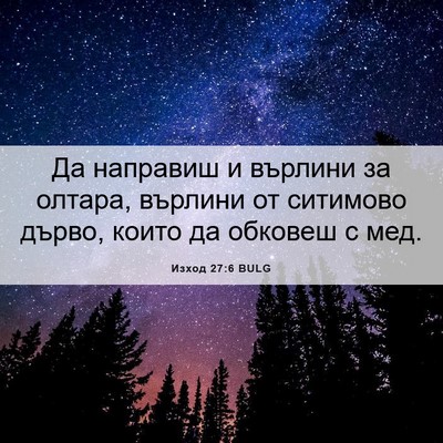 Picture 06 - Изход 27:6 BULG - Да направиш и върлини за - Bible Verse Picture