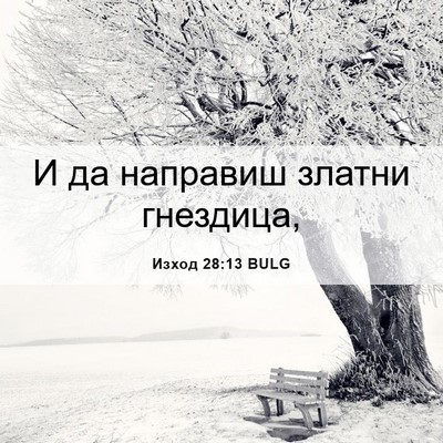 Picture 06 - Изход 28:13 BULG - И да направиш златни - Bible Verse Picture