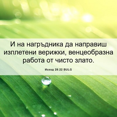 Picture 06 - Изход 28:22 BULG - И на нагръдника да - Bible Verse Picture