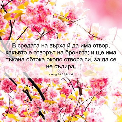 Picture 06 - Изход 28:32 BULG - В средата на върха й да има - Bible Verse Picture