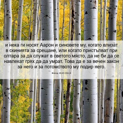 Picture 06 - Изход 28:43 BULG - и нека ги носят Аарон и - Bible Verse Picture