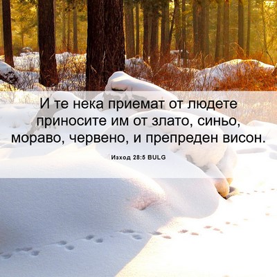 Picture 06 - Изход 28:5 BULG - И те нека приемат от людете - Bible Verse Picture