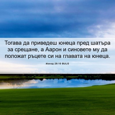 Picture 06 - Изход 29:10 BULG - Тогава да приведеш юнеца - Bible Verse Picture
