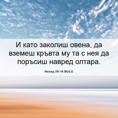 Picture 06 - Изход 29:16 BULG - И като заколиш овена, да - Bible Verse Picture