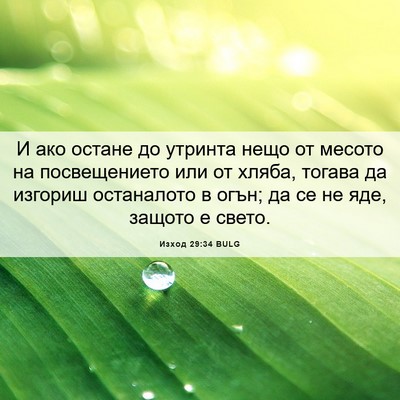 Picture 06 - Изход 29:34 BULG - И ако остане до утринта - Bible Verse Picture