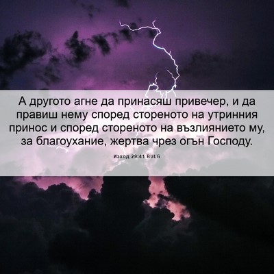 Picture 06 - Изход 29:41 BULG - А другото агне да принасяш - Bible Verse Picture
