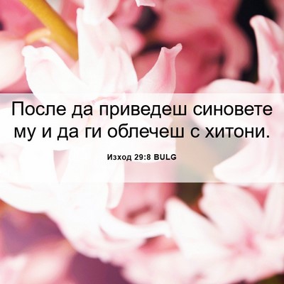 Picture 06 - Изход 29:8 BULG - После да приведеш синовете - Bible Verse Picture