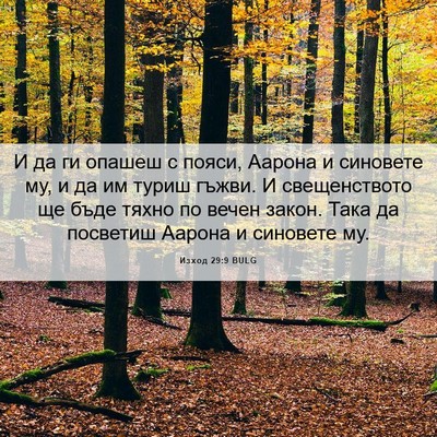 Picture 06 - Изход 29:9 BULG - И да ги опашеш с пояси, - Bible Verse Picture