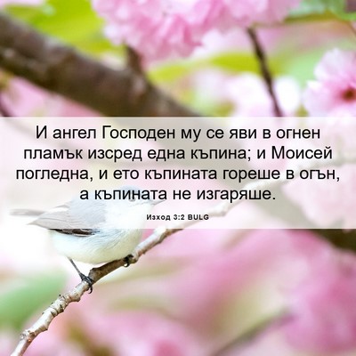 Picture 06 - Изход 3:2 BULG - И ангел Господен му се яви - Bible Verse Picture